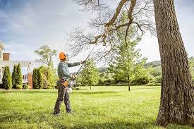 Best Storm Damage Tree Cleanup  in Mosinee, WI