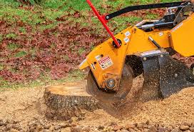 Best Aeration Services  in Mosinee, WI