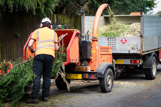 Best Grass Overseeding  in Mosinee, WI