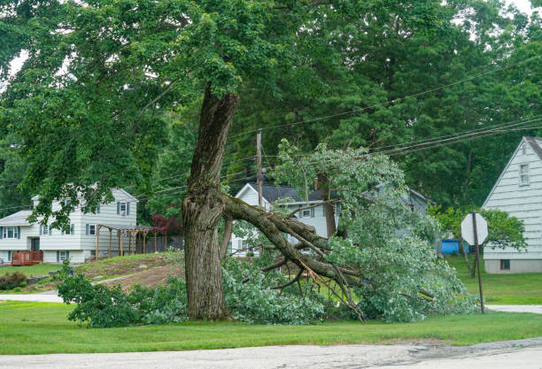 Best Seasonal Cleanup (Spring/Fall)  in Mosinee, WI