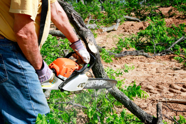 Best Arborist Consultation Services  in Mosinee, WI